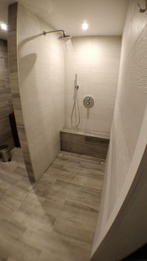 Maison Des Ecluses Strasbourg F3 90M2 Jacuzzi Climatisation Dış mekan fotoğraf